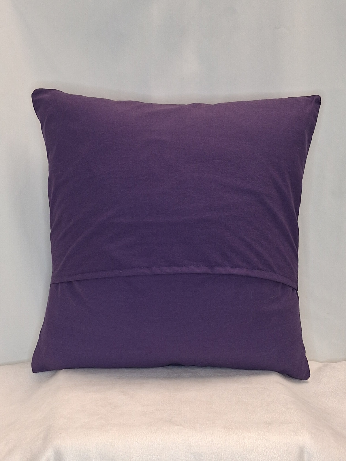 Aquarius Pillow