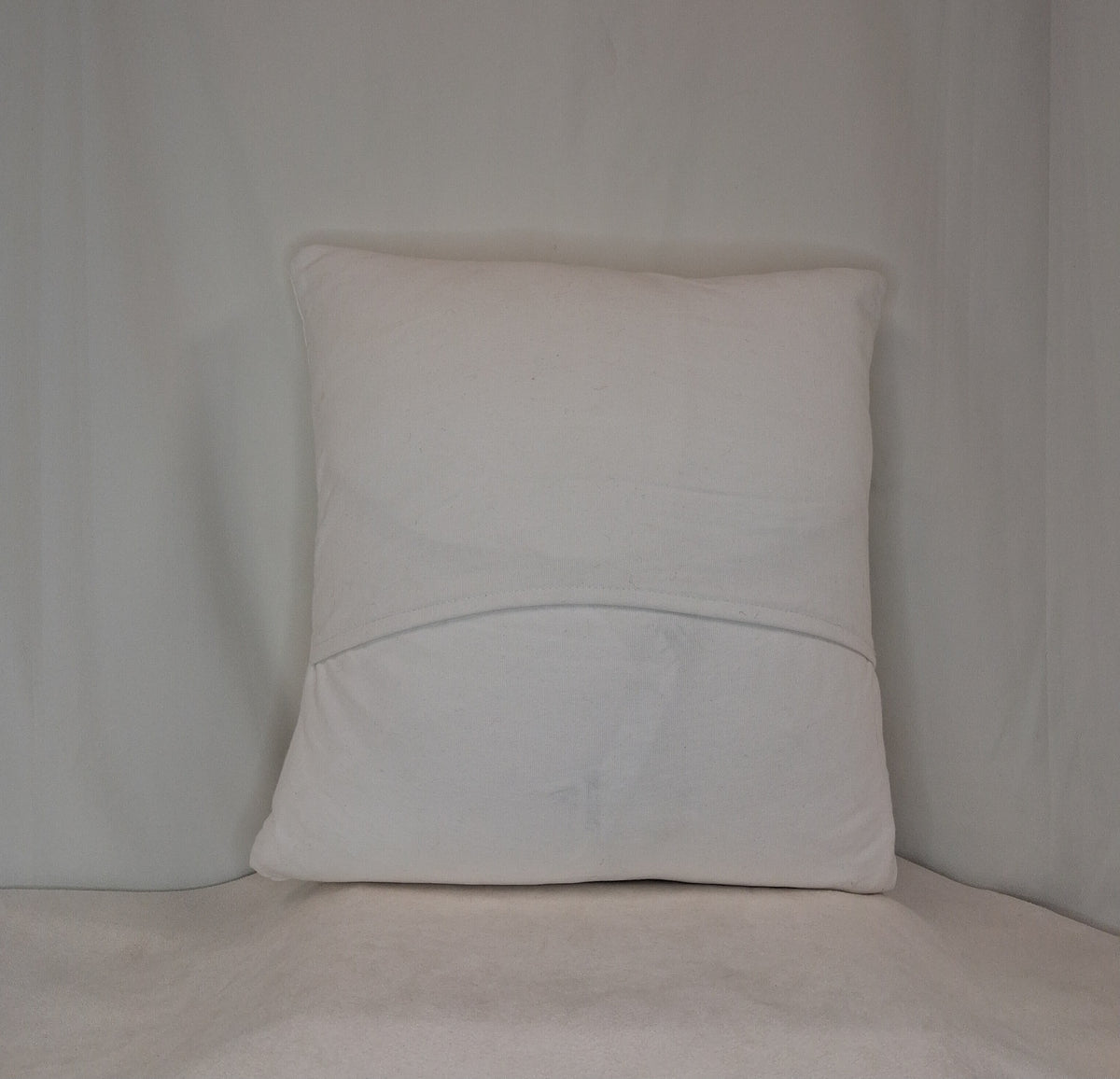 Coexist Pillow